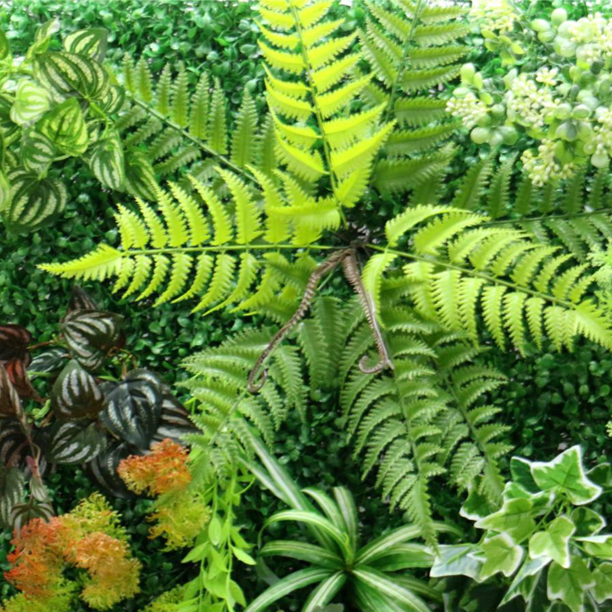 Artificial Plant Wall Plastic  - Flower Wall Panel บทวิจารณ์และราคา