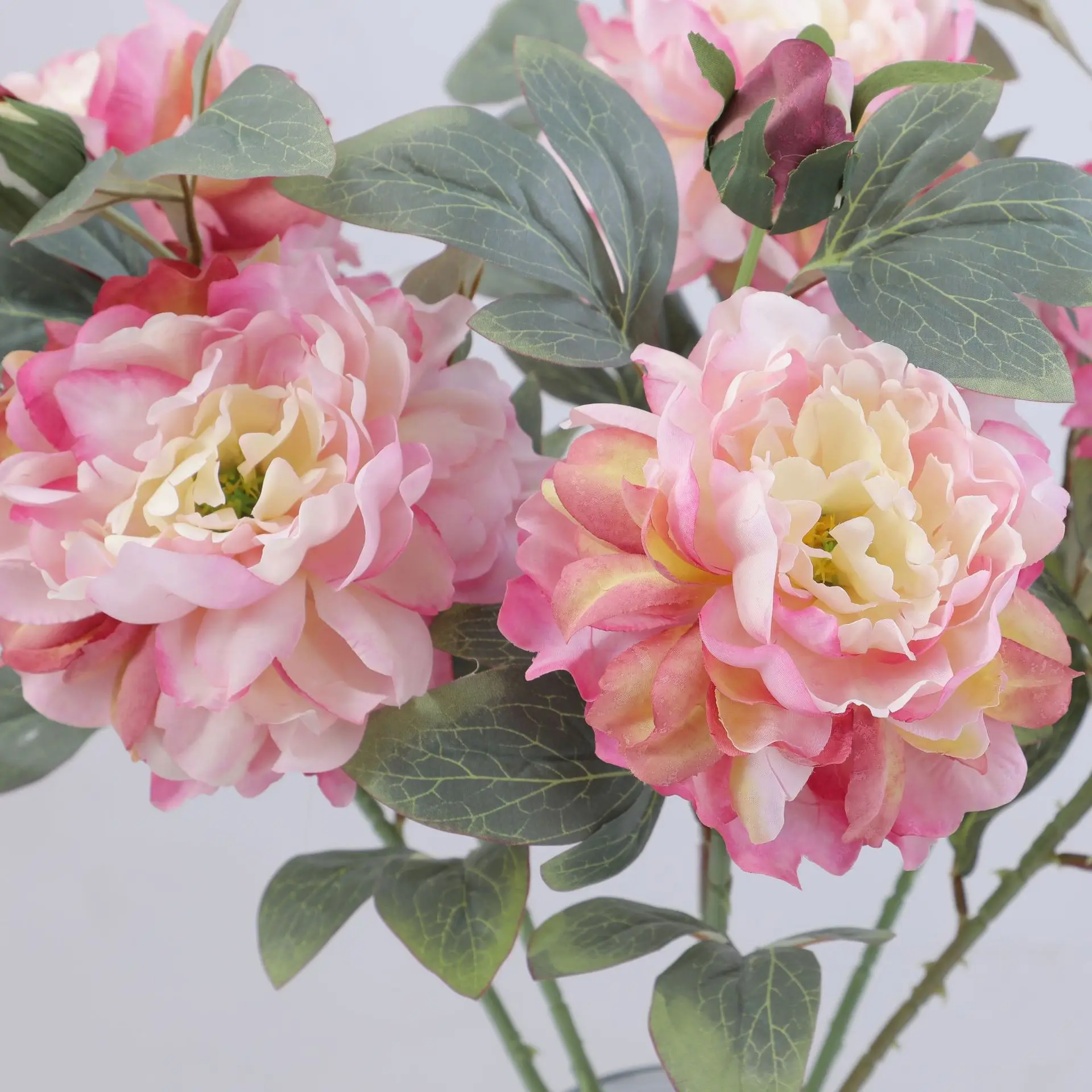 Artificial Peony Flower Single - Flower Wall Panel บทวิจารณ์และราคา