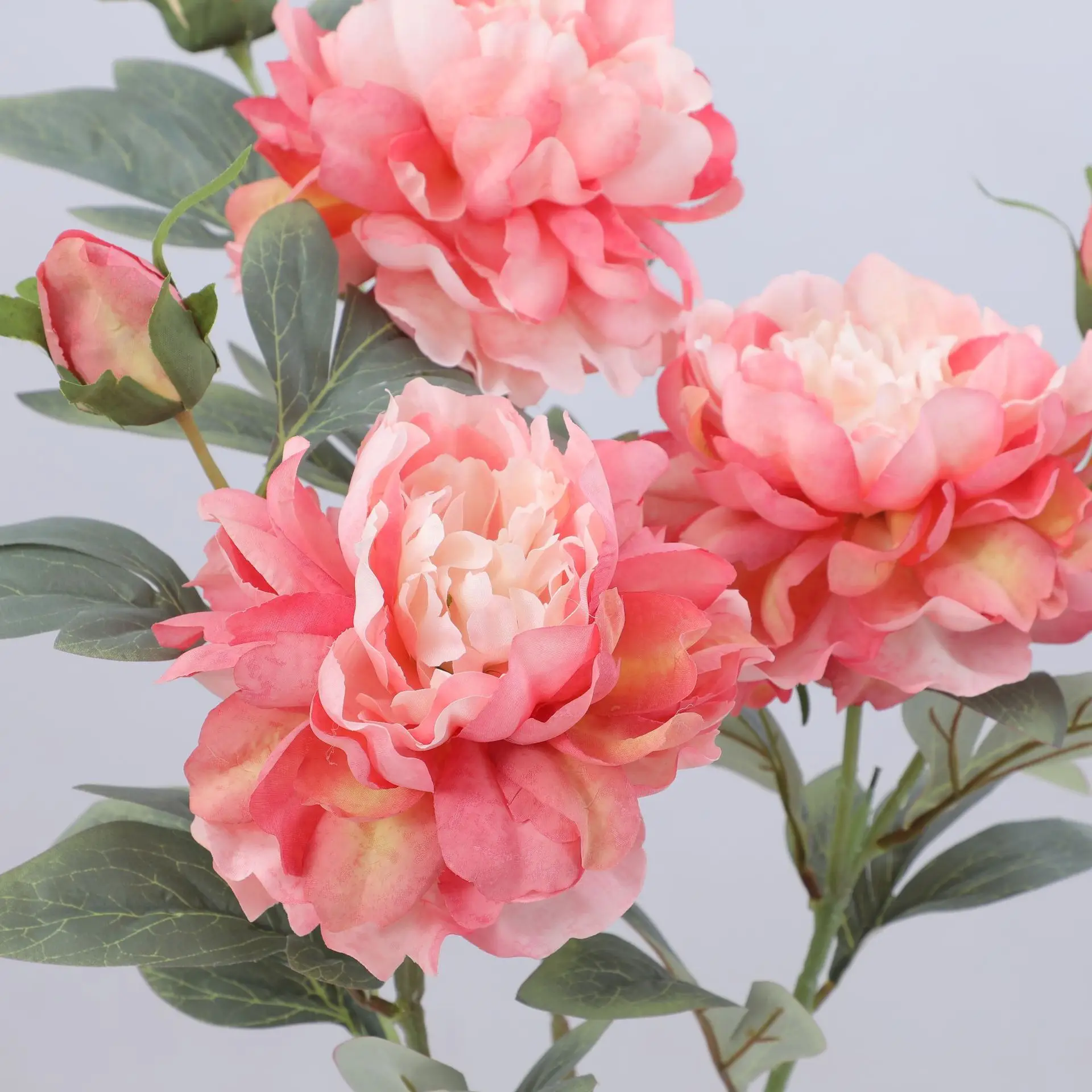 Artificial Peony Flower Single - Flower Wall Panel บทวิจารณ์และราคา