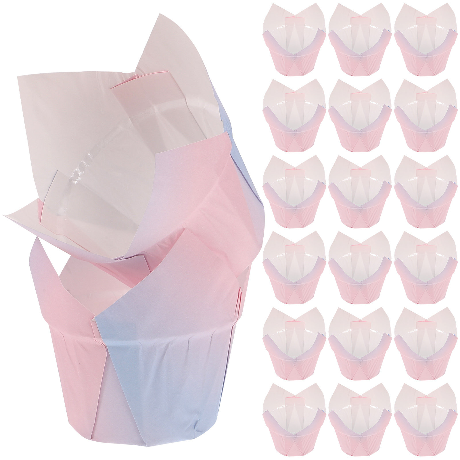 50Pcs Tulip Cupcake Liners Pap - Plastic Cup 50Pcs บทวิจารณ์และราคา