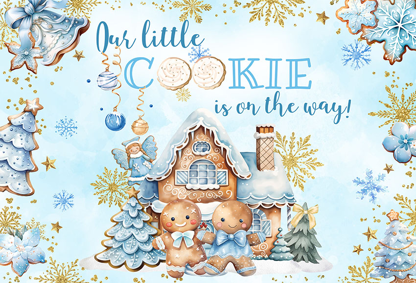 Christmas Gingerbread Baby Sho - Dessert Table Backdrop บทวิจารณ์และราคา