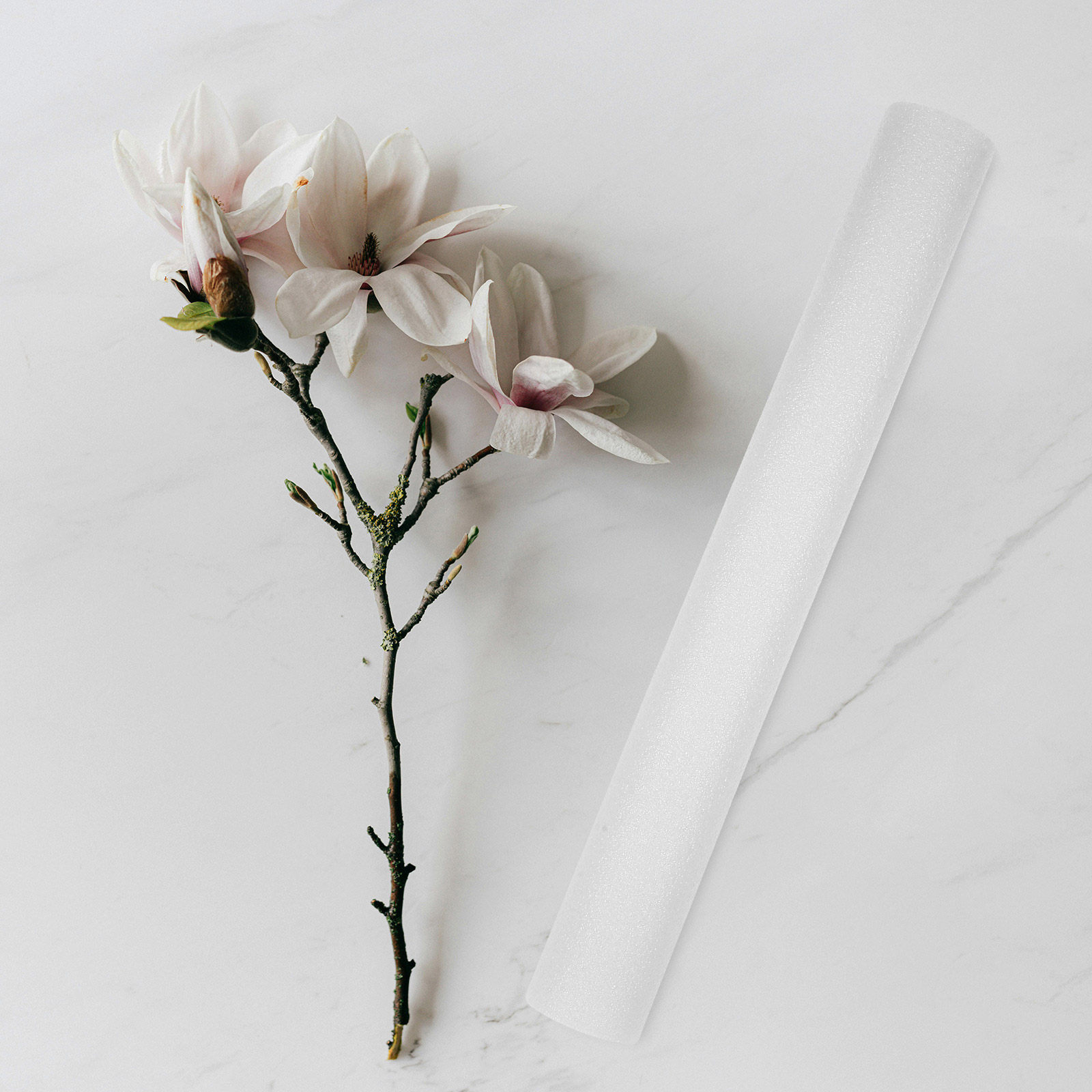 7Pcs Flower Arranging Foam Sti - Centerpiece Stick บทวิจารณ์และราคา